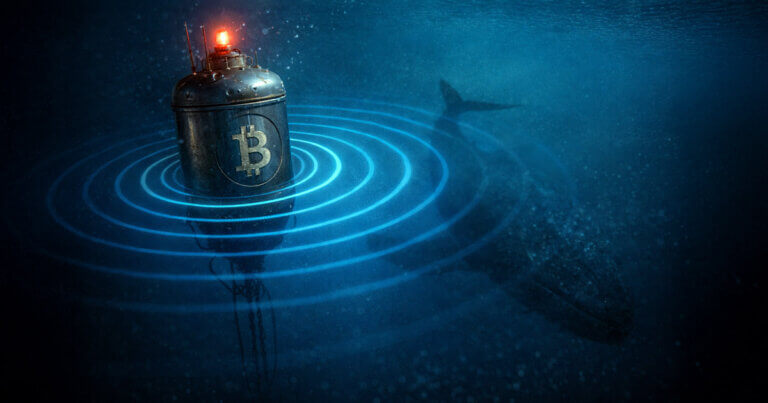 A Bitcoin-marked buoy sends sonar rings as a shadowy whale approaches, symbolizing a Bitfinex whale returning to markets and accumulating about 450 BTC per day