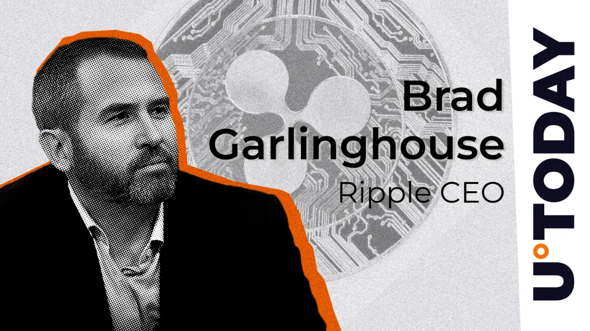Crucial Scam Warning Comes From Ripple and Brad Garlinghouse: Details