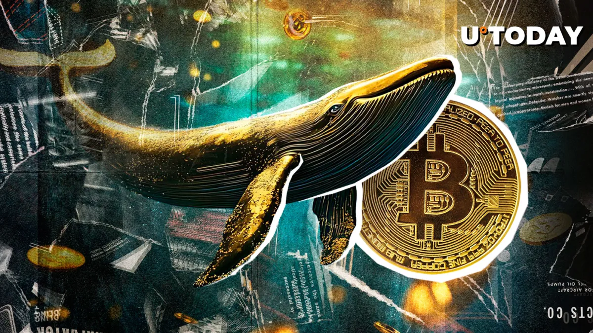 Bitcoin Whales Go on Accumulation Spree, Here's Implication