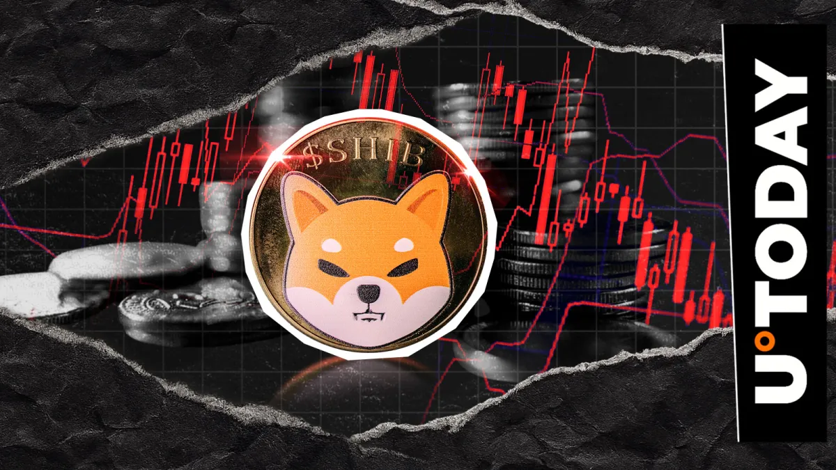 99.02% Shiba Inu Metric Drop Has Intriguing 9,008,428 SHIB Twist: Details