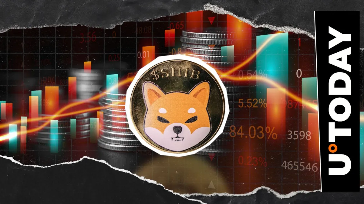 -87% on Key SHIB Metric: What's Happening?