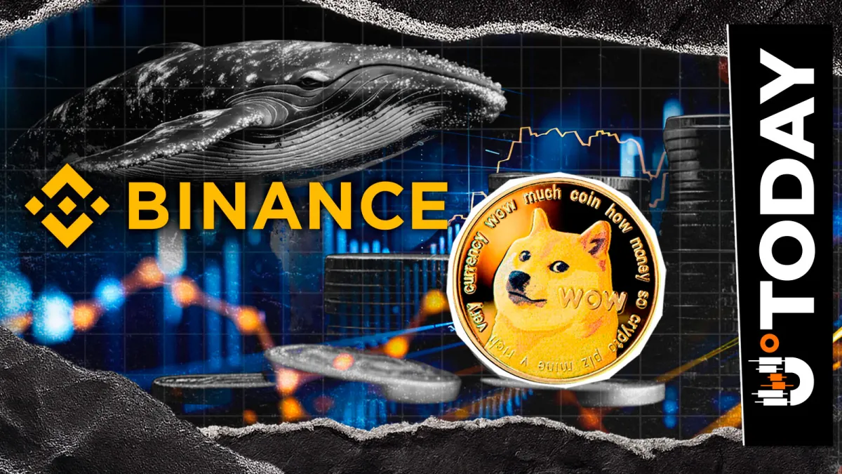 Mysterious Dogecoin Whale Reactivates With 15 Million DOGE Withdrawal From Binance