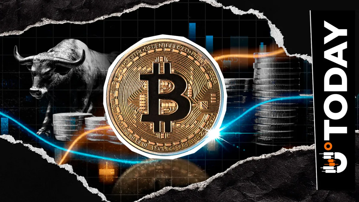 Bitcoin Is Best Crypto Bull Case Right Now, Top Trader Shows Why