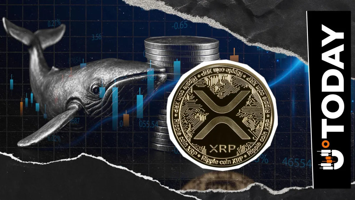 XRP Whales Disappear, Leaving 1.18 Billion Coins in 4 Weeks