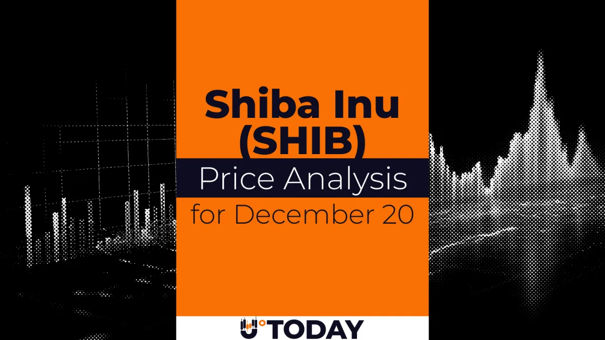 SHIB Price Analysis for December 20