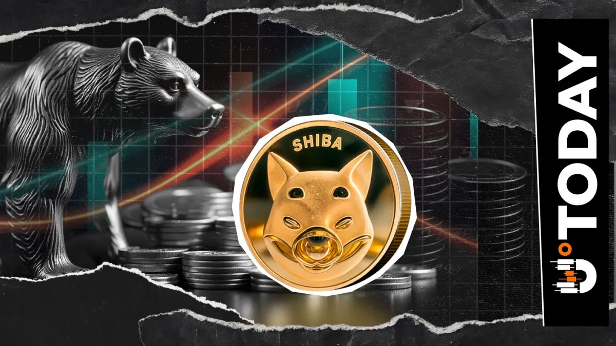 Top SHIB Exec Believes Bear Market Is Here, But There's a Catch