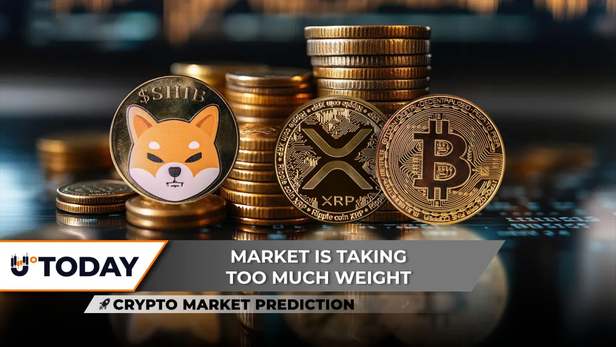 Crypto Market Review: $100,000 for Bitcoin Wide Open Right Now, Next Shiba Inu (SHIB) Price Movement Scenarios Revealed, XRP Is Ultra Bullish But There's Catch