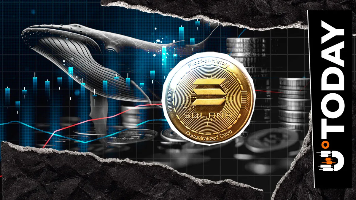 50,000 SOL Withdrawn as Inactive Whale Wallet Reactivates