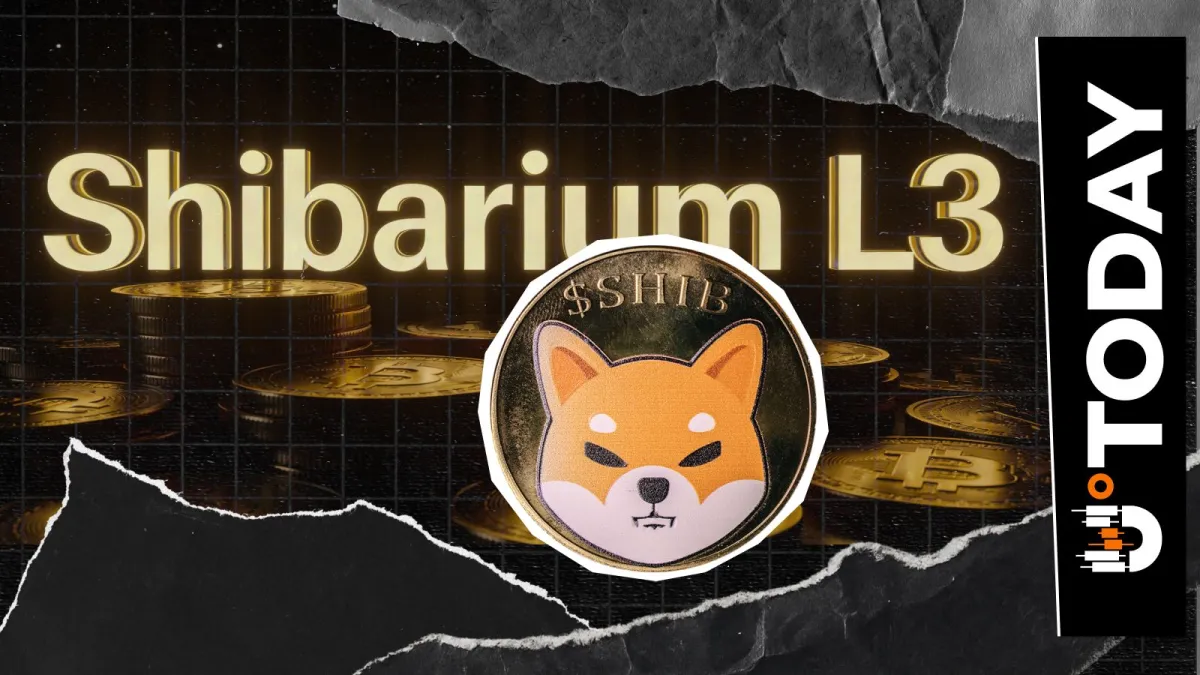 Shibarium L3 'Currently Under Testing': When Is Mainnet Launch?