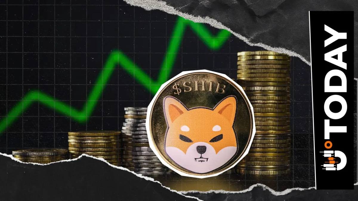 Shiba Inu Price Forms New Support as SHIB Netflow Jumps 76%