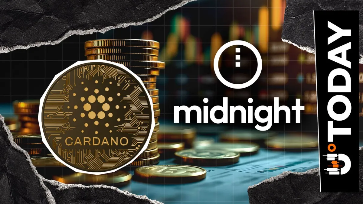 'Midnight Isn't Hurting Cardano,' Insider Defends Charles Hoskinson's Vision