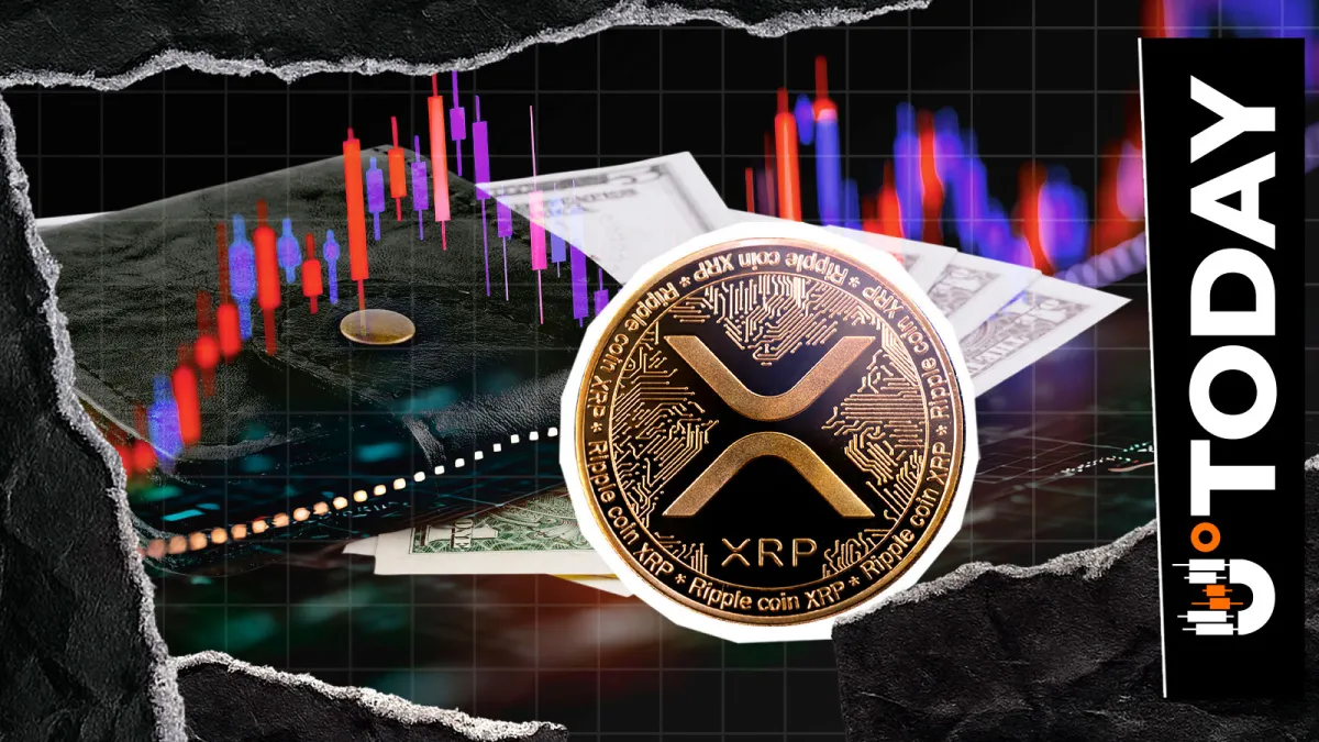 41% Average Losses Hit XRP Wallets: Opportunity or Warning?