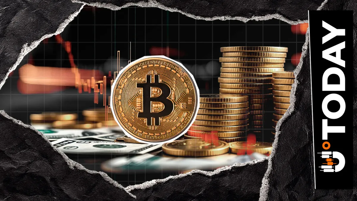 Bitcoin Whales Stack $217 Million Bid Wall While Sell Zone Looms at $80,000