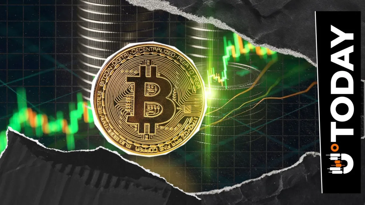 Bitcoin OG Selling Drops to Lowest Level Since Late 2024