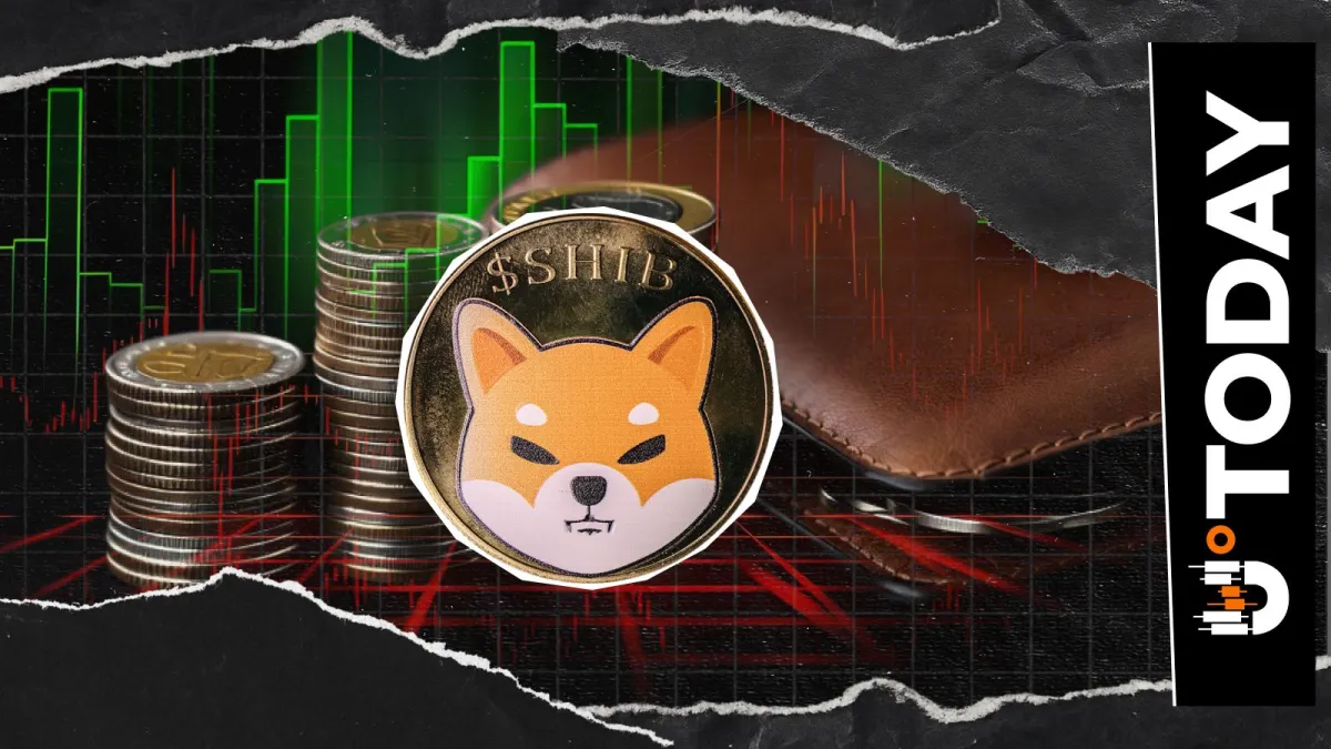 Shiba Inu Hits 1.59 Million Onchain Holders After June Adds 3,464 New Wallets