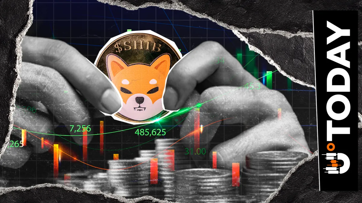 'Momentum Building': Shiba Inu Veteran Reacts to 40% SHIB Price Surge