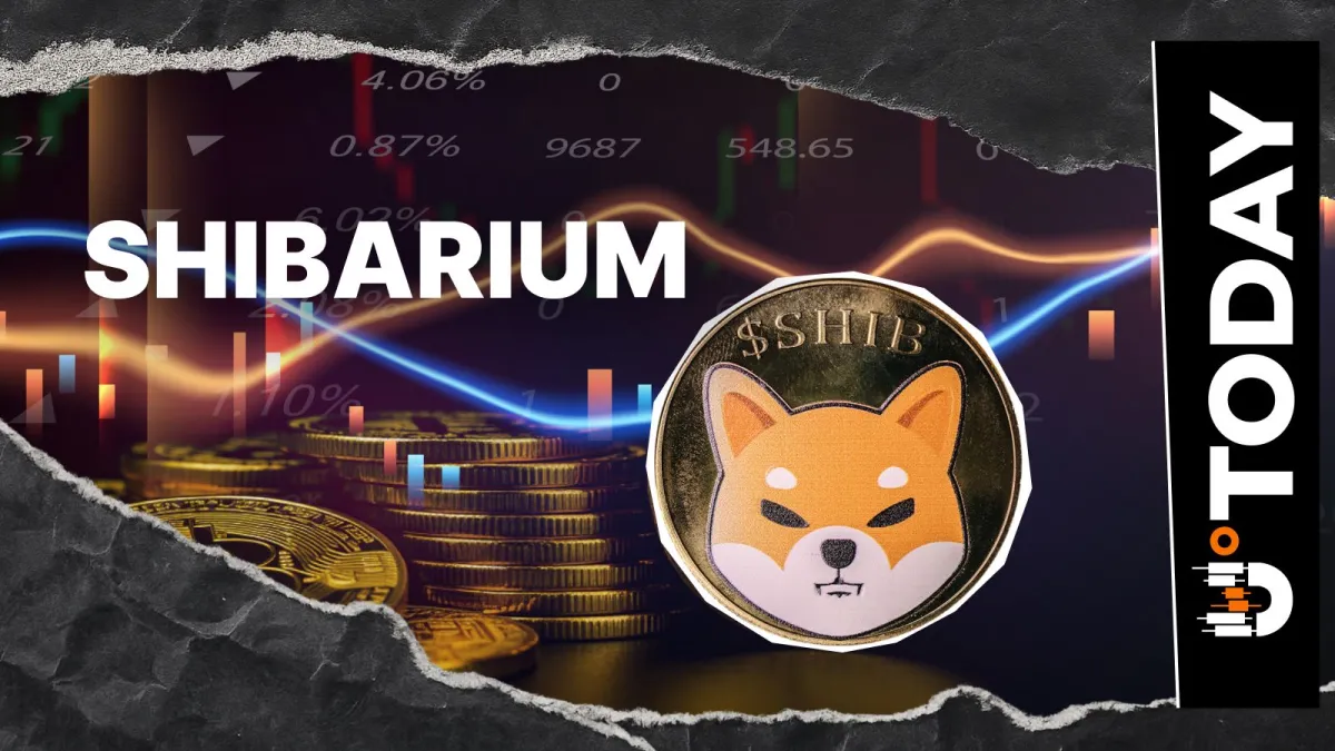 Shiba Inu: Shibarium Gets Useful Update With RPC Refreshed in Ethereum Registry