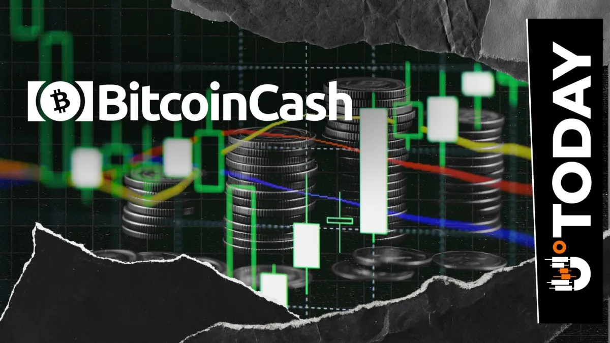 Bitcoin Cash (BCH) Skyrockets 121% in Whale Activity: What's Going On?