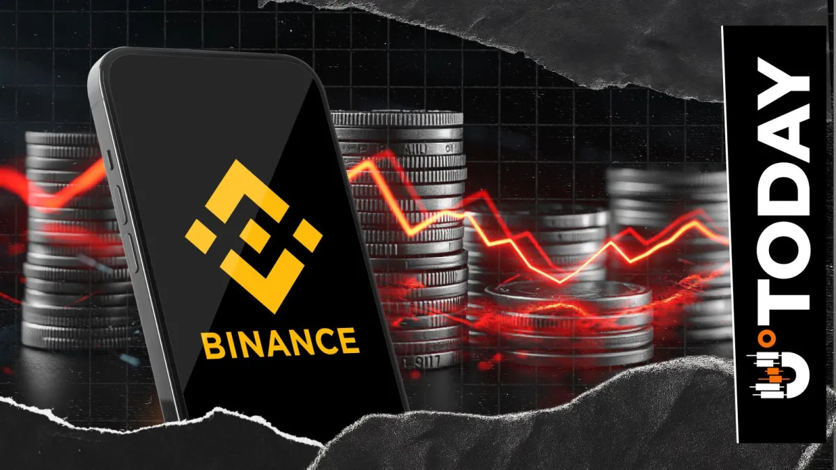 Binance Platform Delists Eight Tokens as October Shakeup Continues