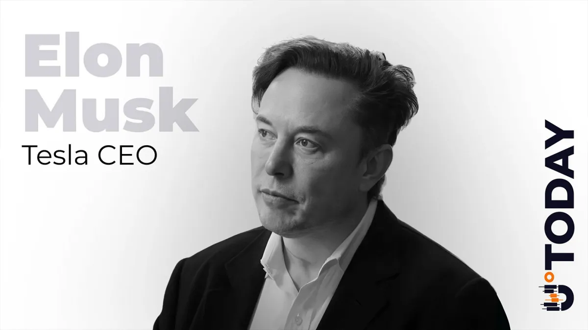 Hyperliquid (HYPE) Rockets 20% as Druckenmiller Invests and Elon Musk Reacts