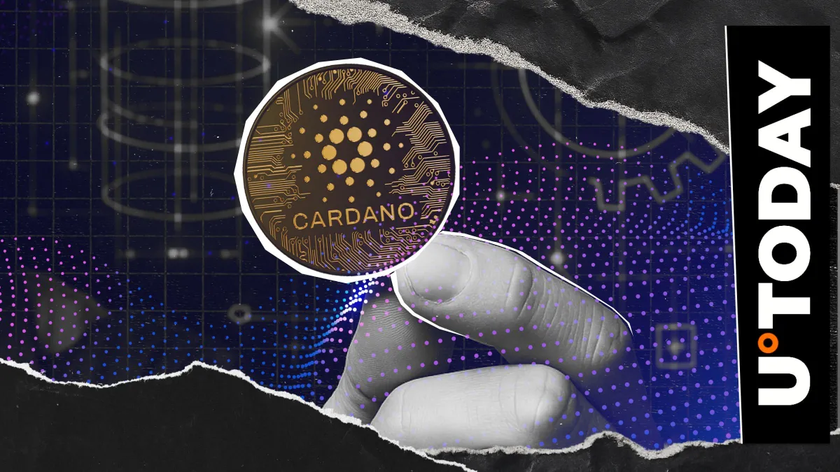 Cardano Visa Multi-Chain Crypto Card Announces Sunset, Key Date for ADA Holders
