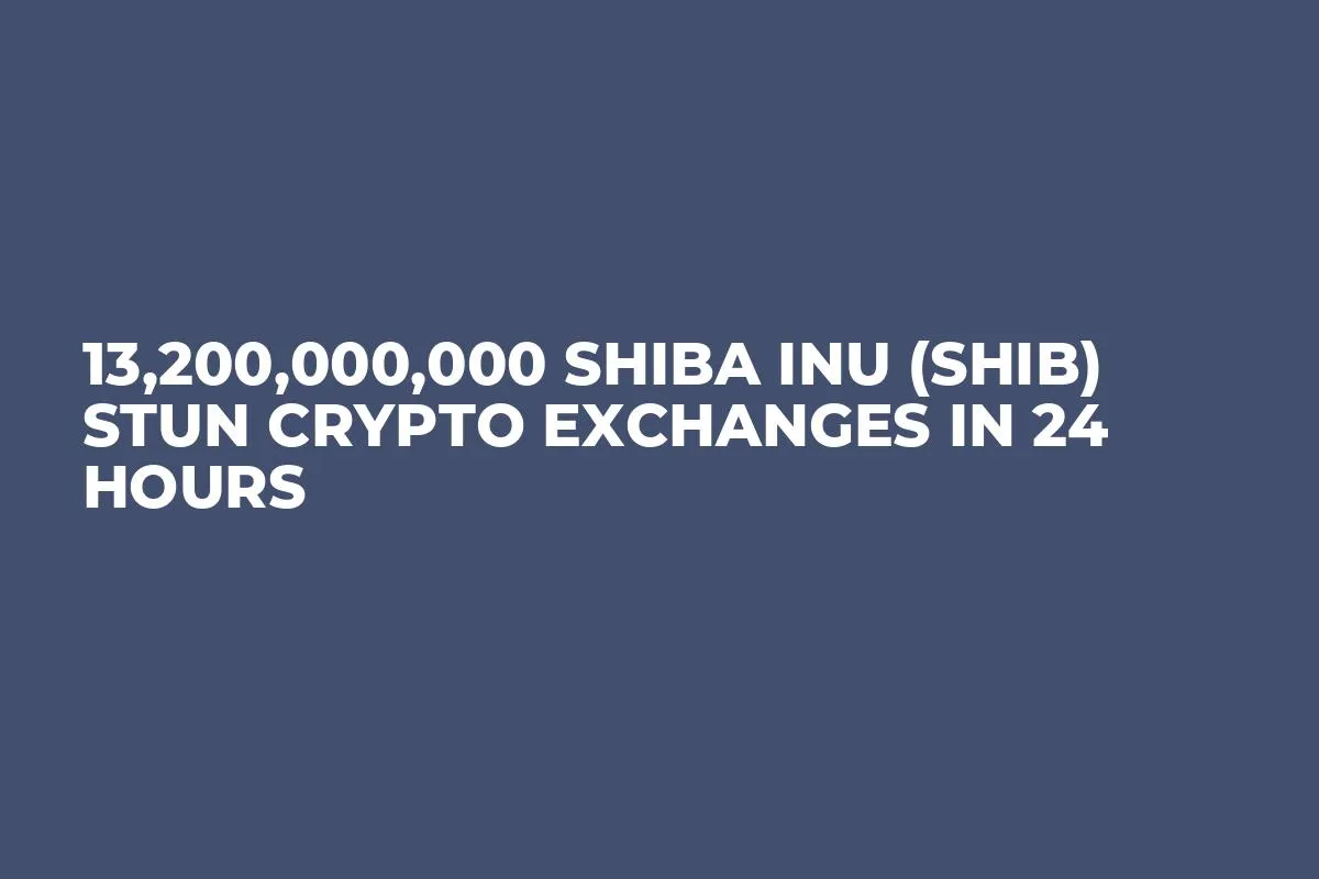 13,200,000,000 Shiba Inu (SHIB) Stun Crypto Exchanges in 24 Hours