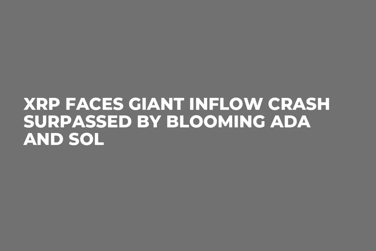 XRP Faces Giant Inflow Crash Surpassed by Blooming ADA and SOL