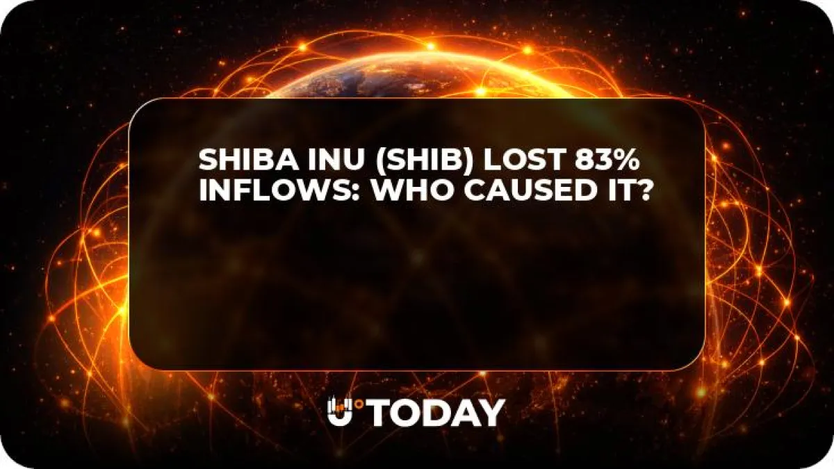 Shiba Inu (SHIB) Lost 83% Inflows: Who Caused It?