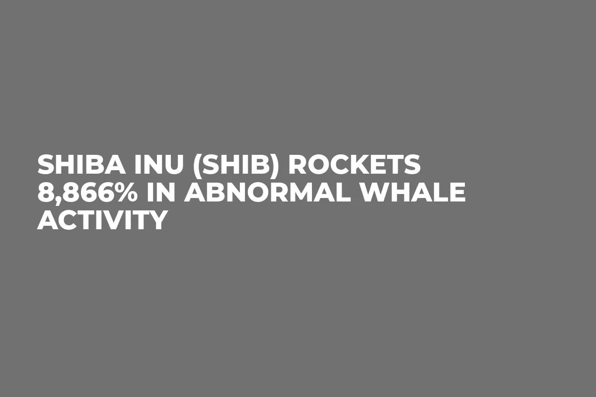 Shiba Inu (SHIB) Rockets 8,866% in Abnormal Whale Activity
