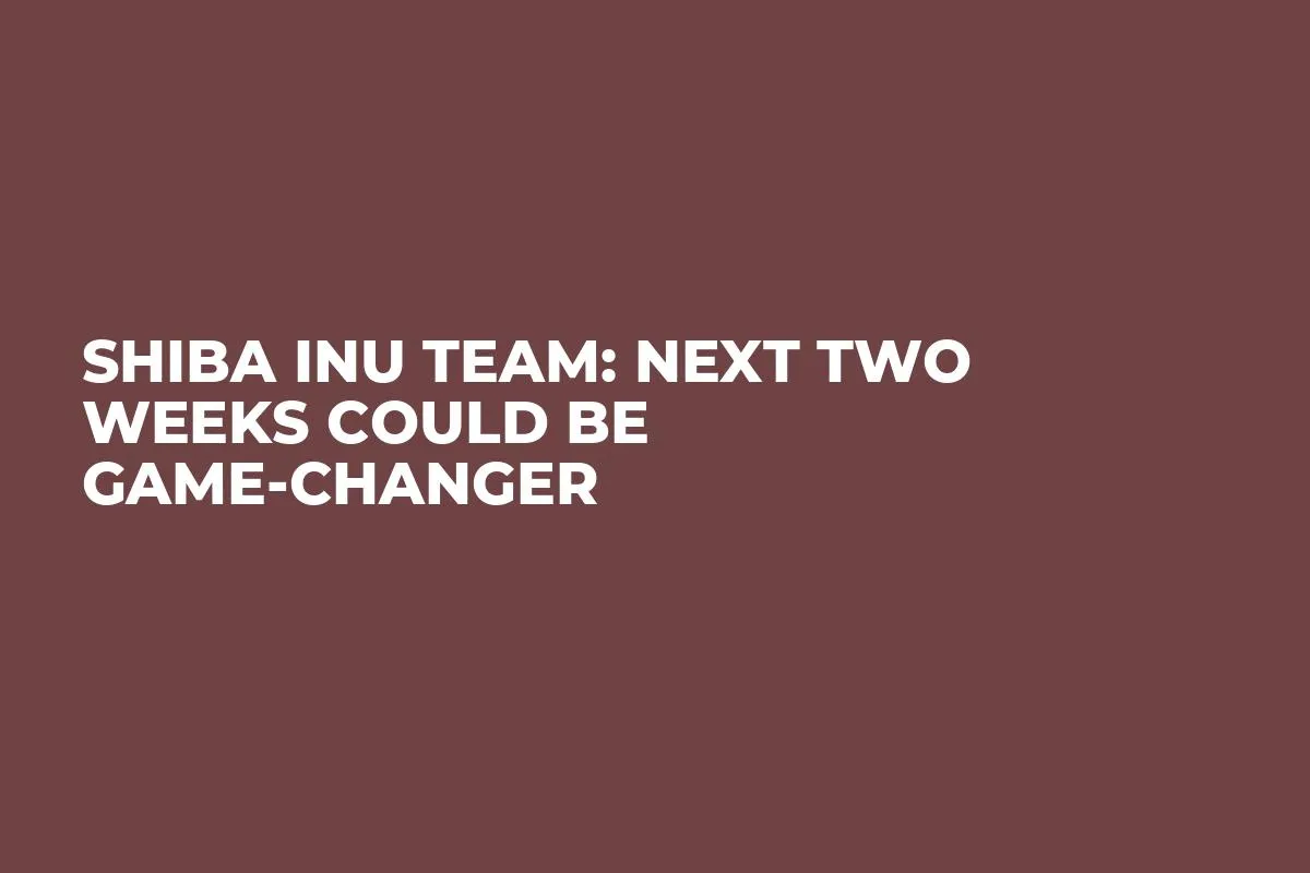 Shiba Inu Team: Next Two Weeks Could Be Game-Changer