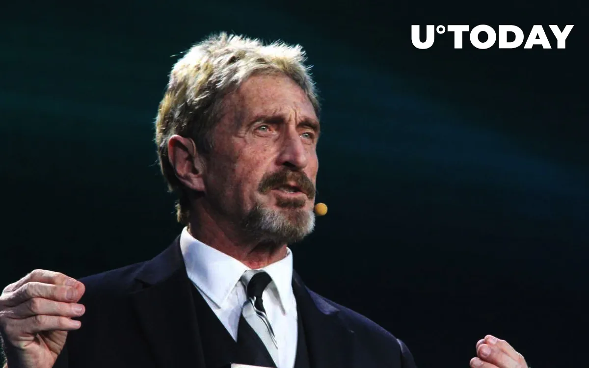 Bitcoin Price Reaching $1 Mln Is 'Nonsense', According to John McAfee