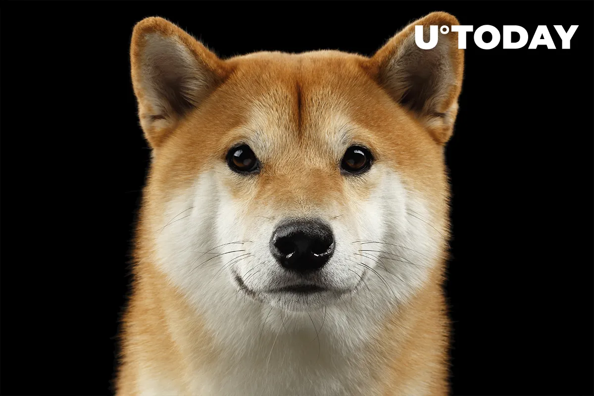 Coinbase Crashes as Shiba Inu Goes Ballistic After Surpassing Dogecoin