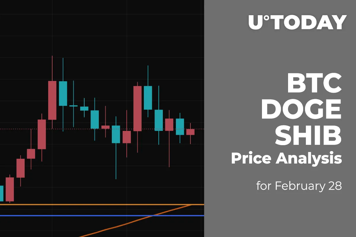 BTC, DOGE and SHIB Price Analysis for February 28