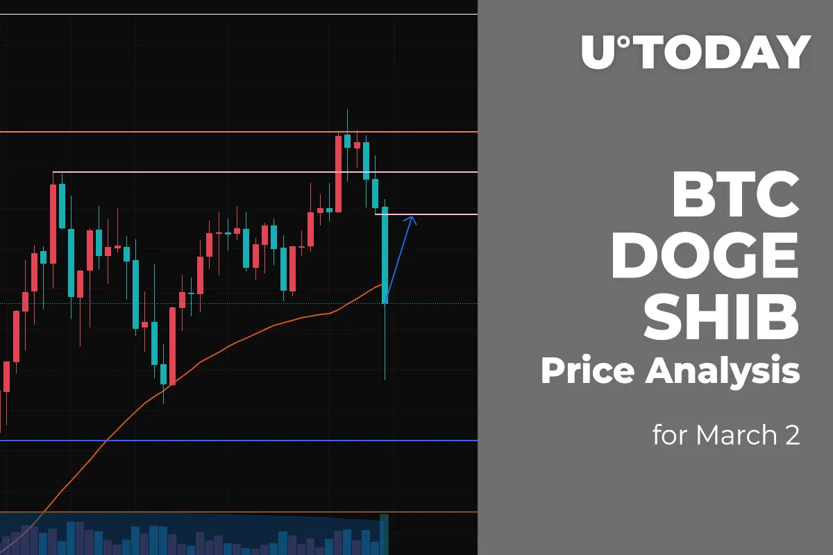 BTC, DOGE and SHIB Price Analysis for March 2