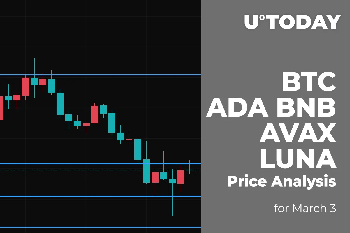 BTC, ADA, BNB, AVAX and LUNA Price Analysis for March 3