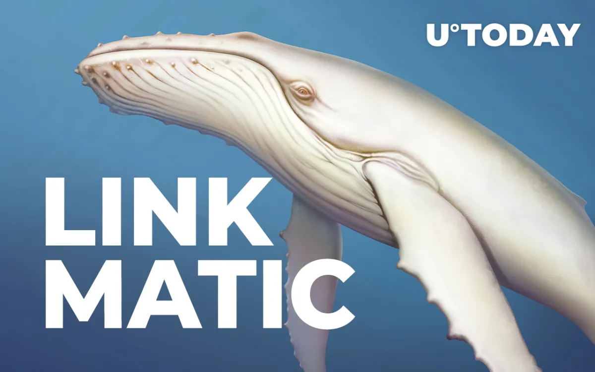 Whales Grab $1.2 Million in LINK, $1.05 Million in MATIC on the Dip, Increasing Their Holdings 
