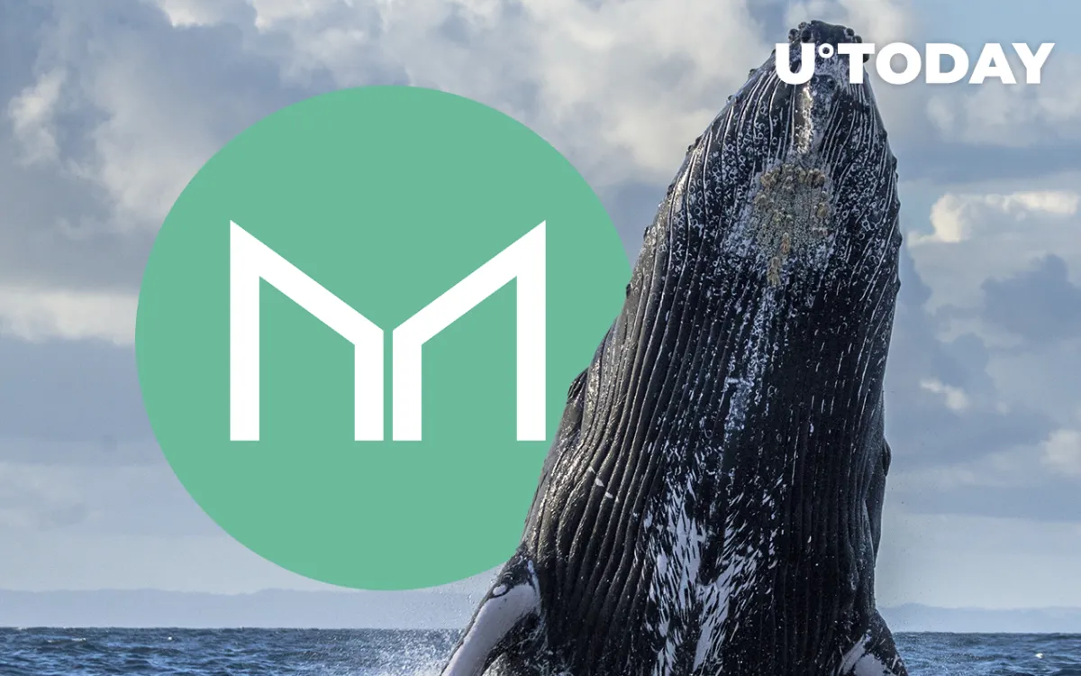Maker (MKR) Faces 21% Spike in Whale Activity: Details