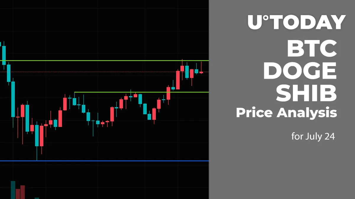 BTC, DOGE and SHIB Price Analysis for July 24