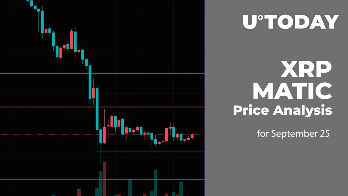 XRP and MATIC Price Analysis for September 25