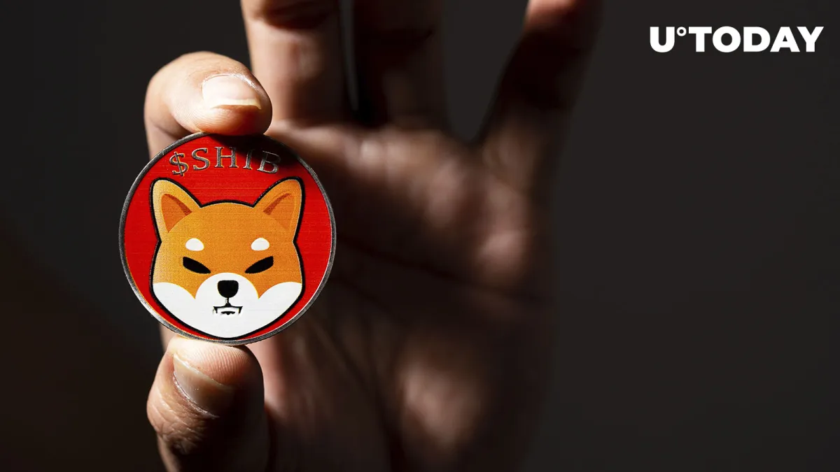 Shiba Inu Team Weighs In on Ongoing Crypto Crisis 