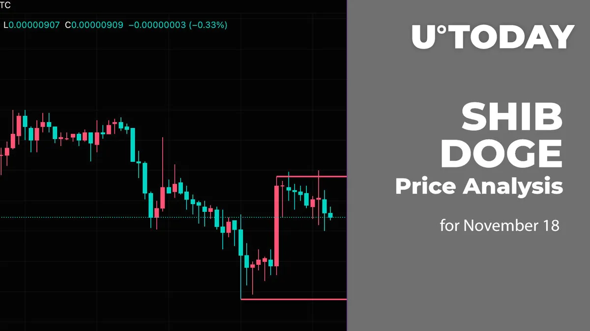 SHIB and DOGE Price Analysis for November 18