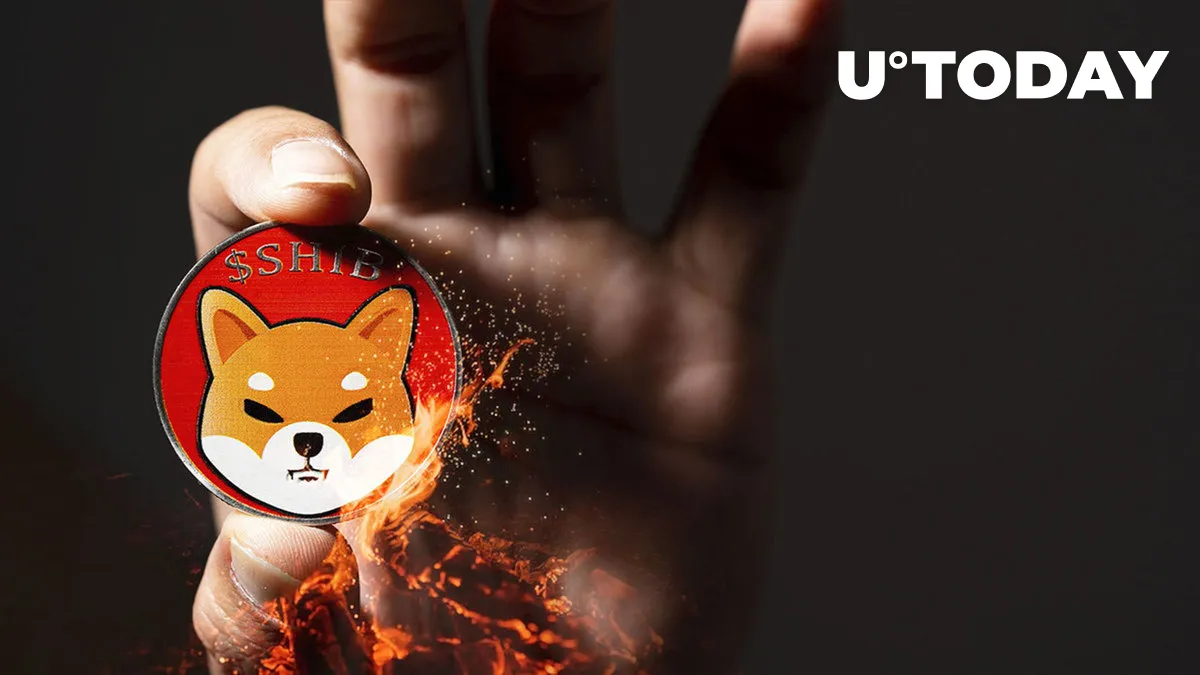 Shiba Inu (SHIB) Burning Extremely Different Since December: Details