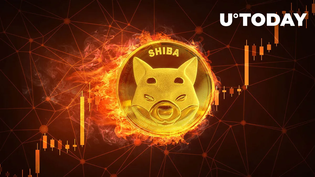Shiba Inu (SHIB) Spikes 11% Weekly, But Here's What's Happening with Burn Rate