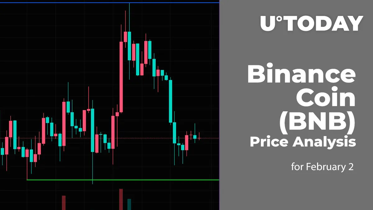 Binance Coin (BNB) Price Analysis for February 2