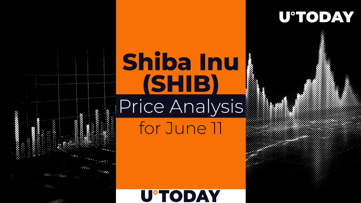 SHIB Price Prediction for June 11