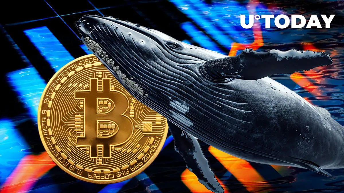 Ancient Bitcoin Whale Stuns Major Exchange With $535 Million BTC Transfer