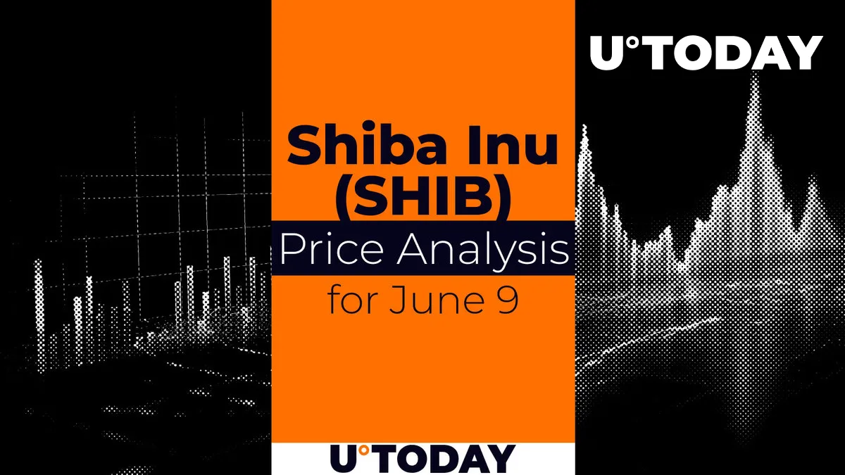 SHIB Price Prediction for June 9