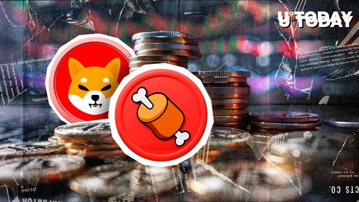 No BONE Airdrops: Shiba Inu (SHIB) Community Gets Critical Alert