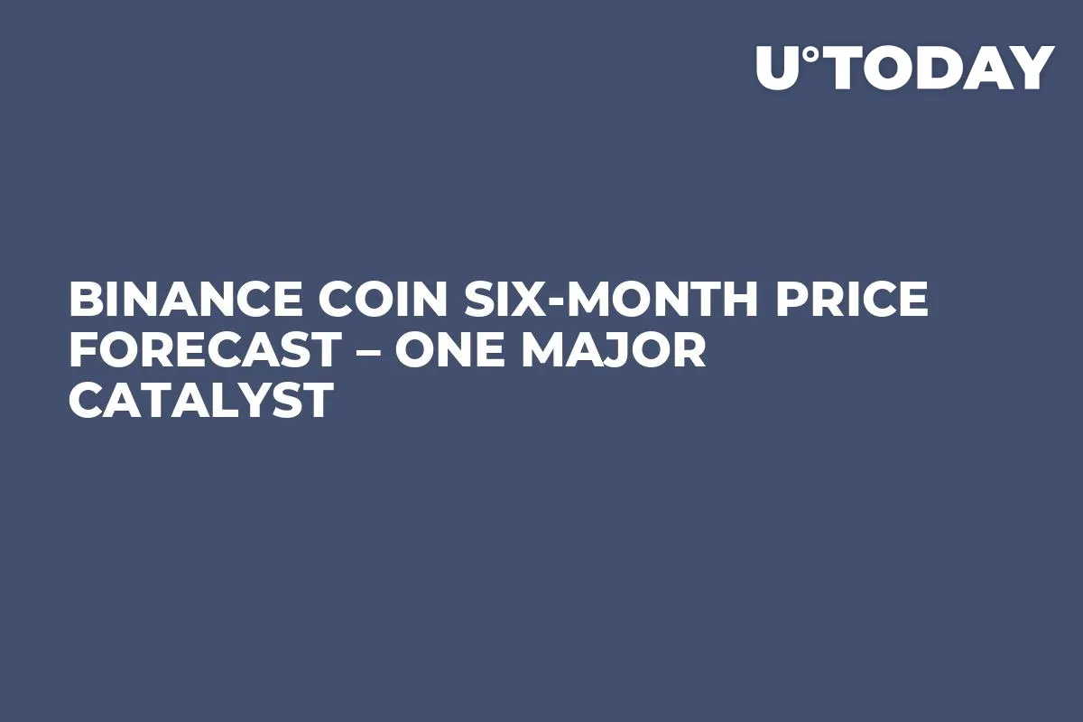 Binance Coin Six-Month Price Forecast – One Major Catalyst