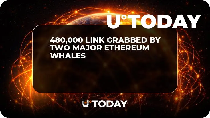480,000 LINK Grabbed by Two Major Ethereum Whales